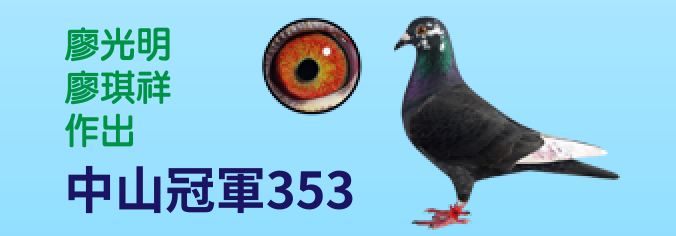 中山冠軍353