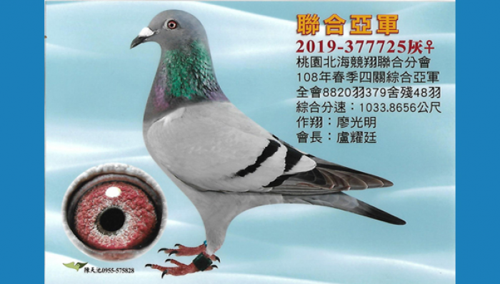 2019年春季聯合亞軍