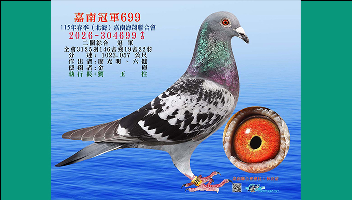 嘉南冠軍699