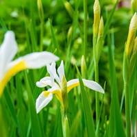 新化飼料行(新化區)