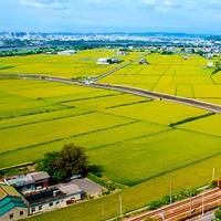 龍營鴿園 -三峽區